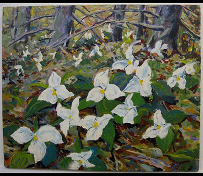 Trilliums