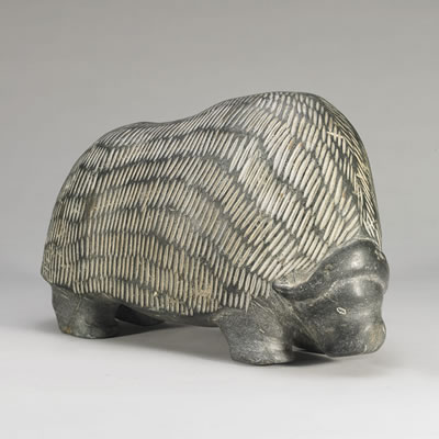 MUSK OX