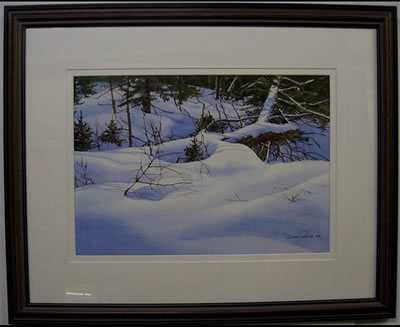 SNOW PATH WITH WOODS
