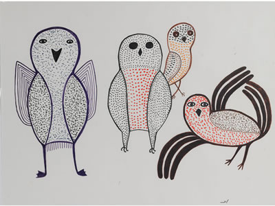 UNTITLED (OWLS)