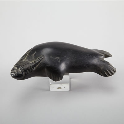 SEDNA
