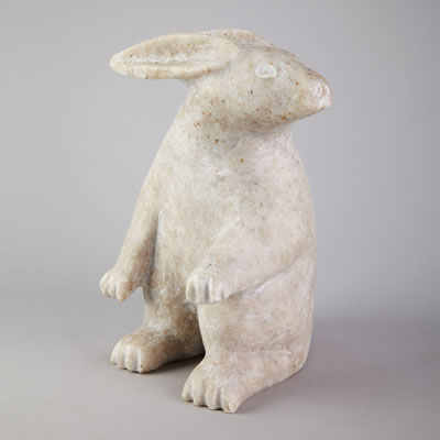 ARCTIC HARE