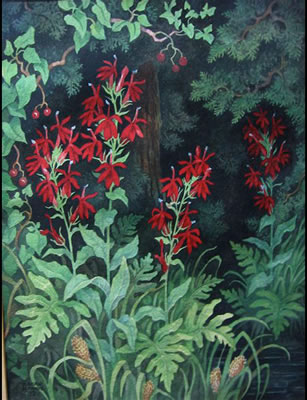 WILDFLOWERS (2)