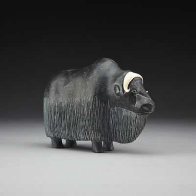MUSK OX