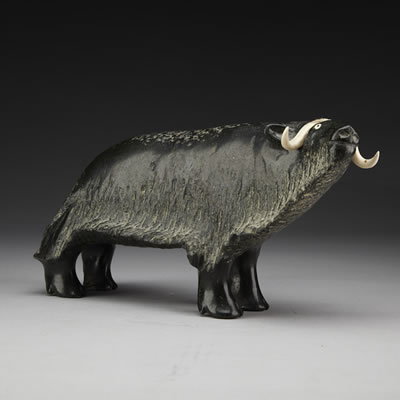MUSK OX