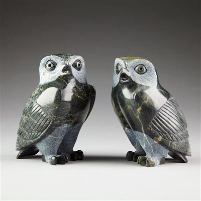 TWO OWLS