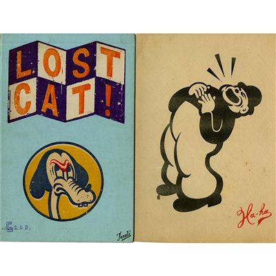 LOST CAT