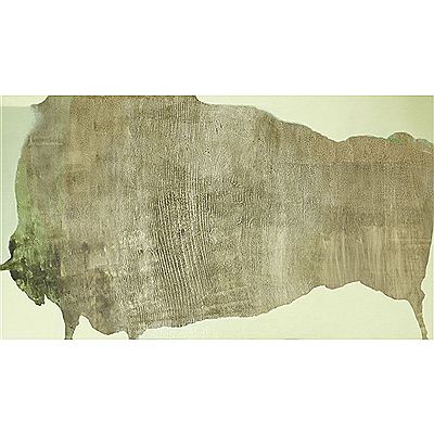 UNTITLED (BUFFALO), 2006