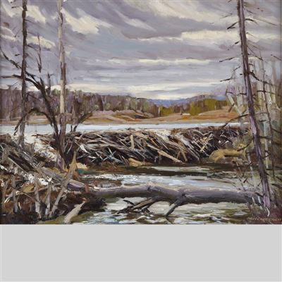 BEAVER DAM, CHELSEA CREEK, GATINEAU PARK, QUEBEC, 1985
