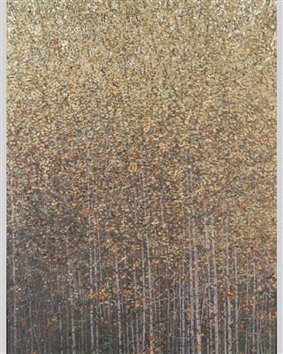 Peter Rotter - artist photo