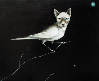 Bird of Prey