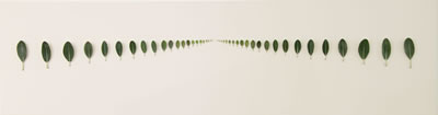 Space, Time Continuum by Elizabeth Thomson - Auction record, sale price, and art valuation. Compare with similar artists and explore comparable artworks.