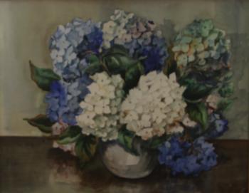 Hydrangeas