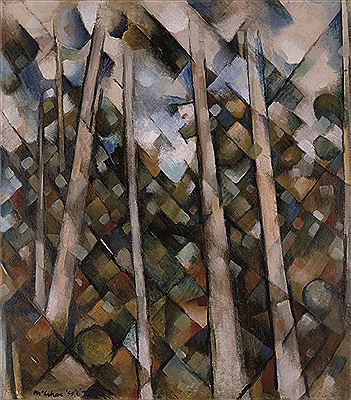 Kauri Trees, Titirangi
