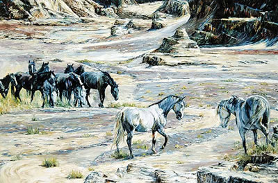 Wyoming Wash