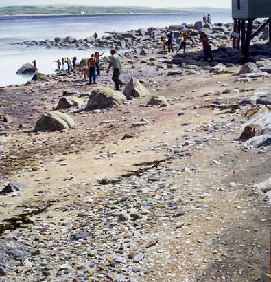 The Sighting, Deer Island, Maine