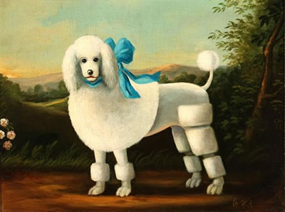 Standard Poodle