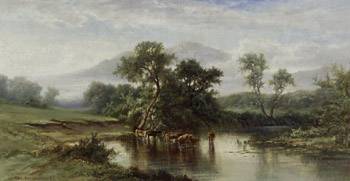 Cattle Watering