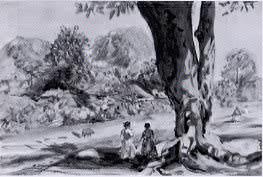 Jamaican Landscape