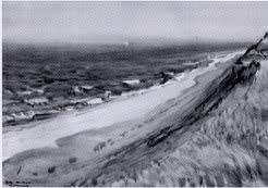 Coastal Scene with Sand Dunes