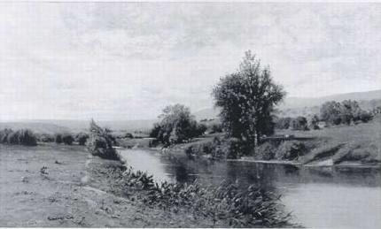 Summer Landscape with Cows