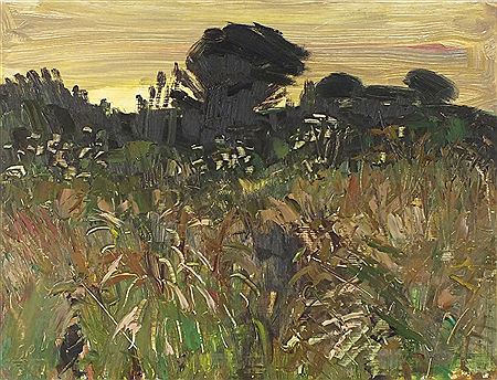 Wild Meadow