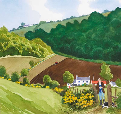SPRING PLOWING