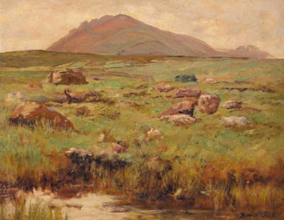 ERRISBEG SEEN FROM ROUNDSTONE BOG, CONNEMARA