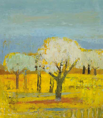TREES IN A YELLOW FIELD