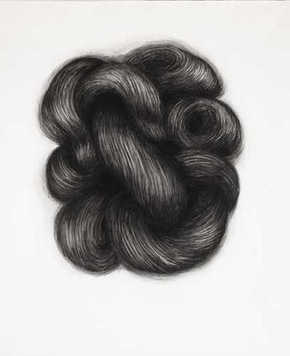 COMA BERENICES by Alice Maher - Auction record, sale price, and art valuation. Compare with similar artists and explore comparable artworks.