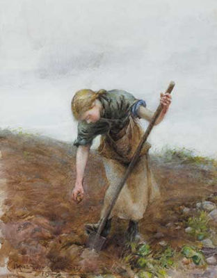 THE POTATO PLANTER, SLIGO