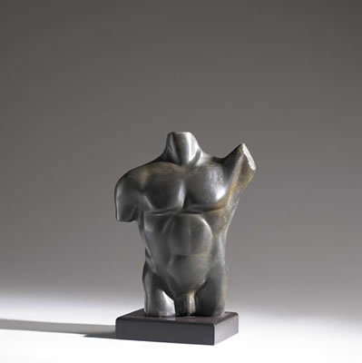 MALE TORSO