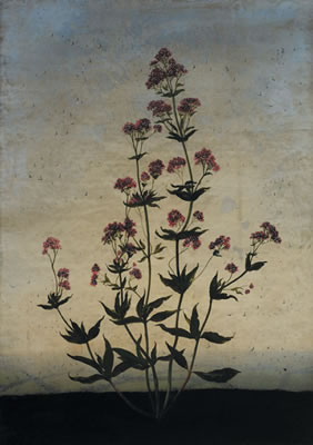 ANNO, 2007