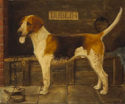 DUBLIN HOUND