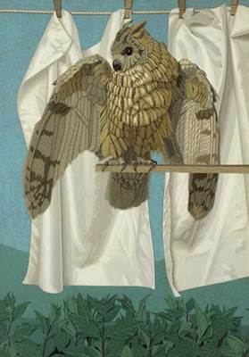 OWL II, 1972.