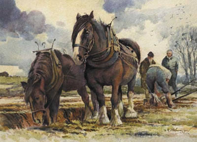 SETTING THE HEAD