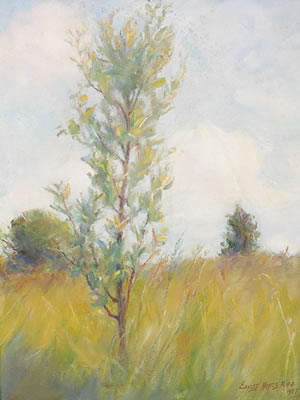 YOUNG TREE