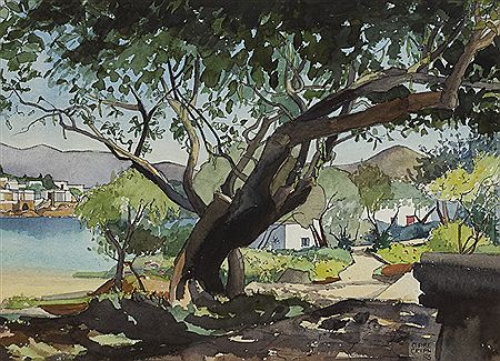CAROB TREE, ELOUNDA, GREECE, 1983