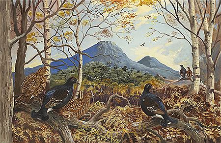 WOODLAND FOWL