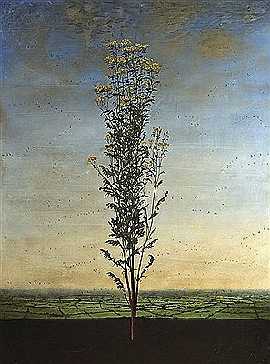 Sample artwork by Michael Canning (Born 1971), known for plant painting - View similar artists and auction records