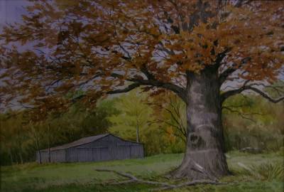 Brown County Fall Landscape