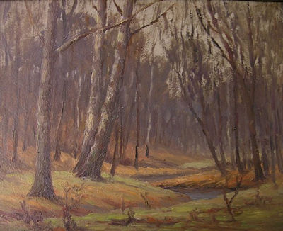 Autumn Woodlands and Stream