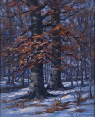 Interior Woods Winter Landscape