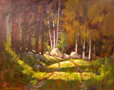 Forest Light