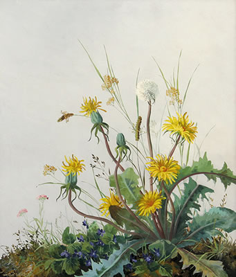 Löwenzahn by Minni (Hermine) Herzing - Auction record, sale price, and art valuation. Compare with similar artists and explore comparable artworks.