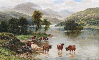 Cattle in the shallows at Loch Katrine