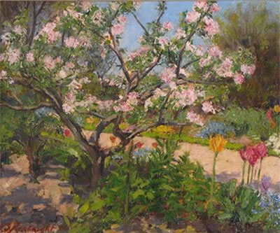 Apple blossom in sunlight, Sissinghurst