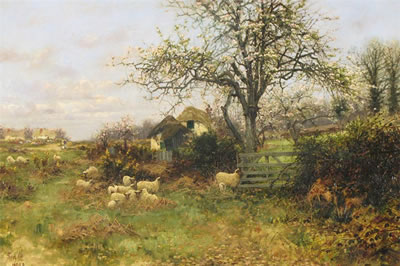 Rural landscape with sheep and trees in blossom