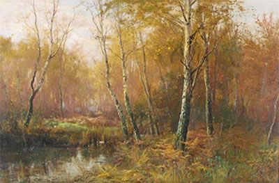 A woodland stream in the New Forest