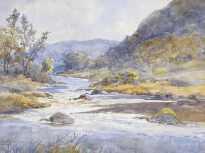 Glendalough River and Irish landscapes